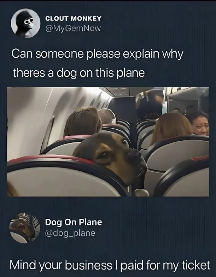 35 Wholesome Memes To Restore Your Faith In Humanity