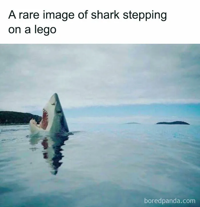 You LEGO People Can Relate. I’m A LEGO People. I Relate