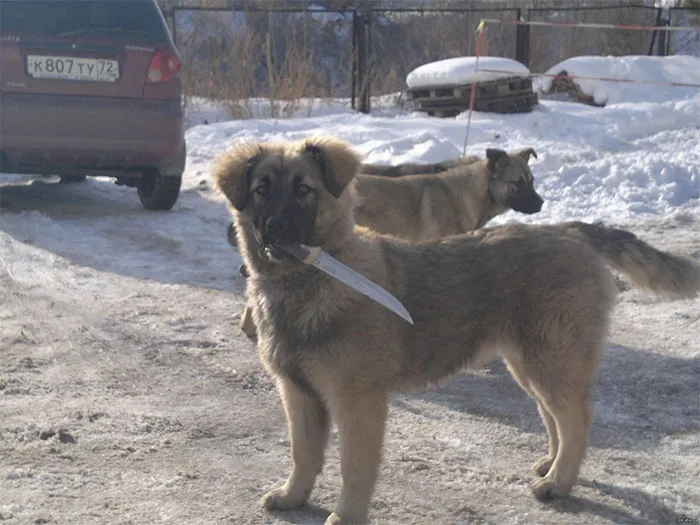 Cursed Images: 40 Pics From The Dark Side Of The Internet, As Shared On This X Page