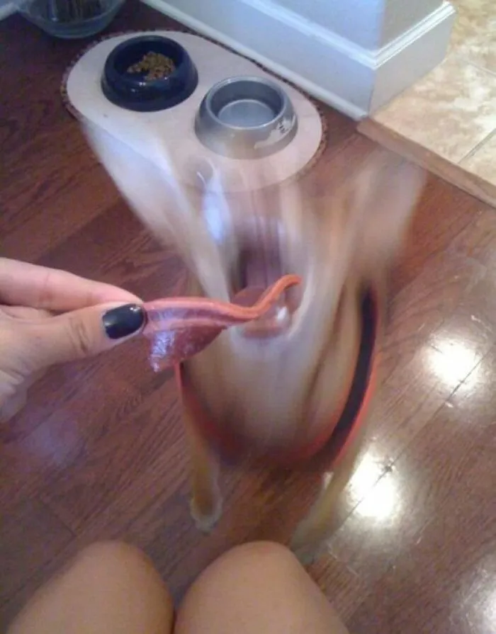 Cursed Images: 40 Pics From The Dark Side Of The Internet, As Shared On This X Page