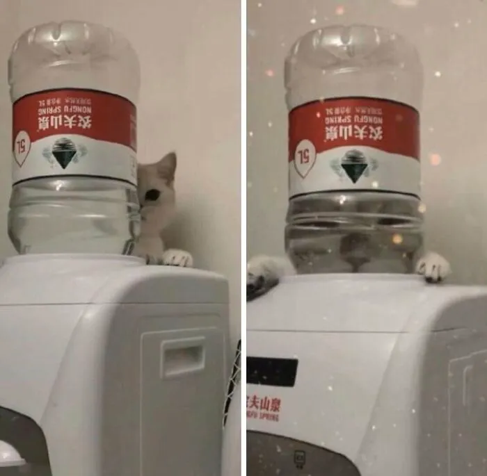 Cursed Images: 40 Pics From The Dark Side Of The Internet, As Shared On This X Page