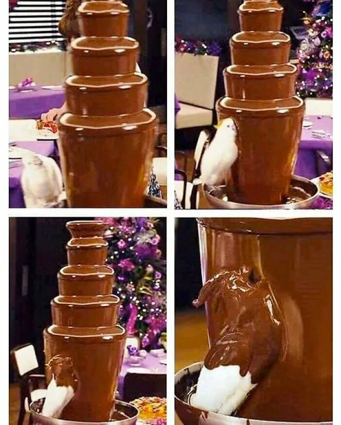 Cursed Images: 40 Pics From The Dark Side Of The Internet, As Shared On This X Page