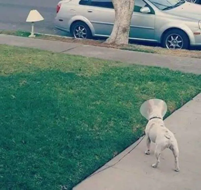 Cursed Images: 40 Pics From The Dark Side Of The Internet, As Shared On This X Page