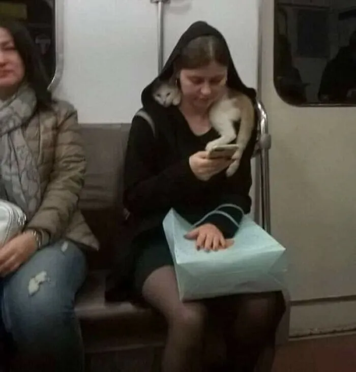 37 Cosas curiosas y divertidas vistas en el metro (Nuevas imágenes)