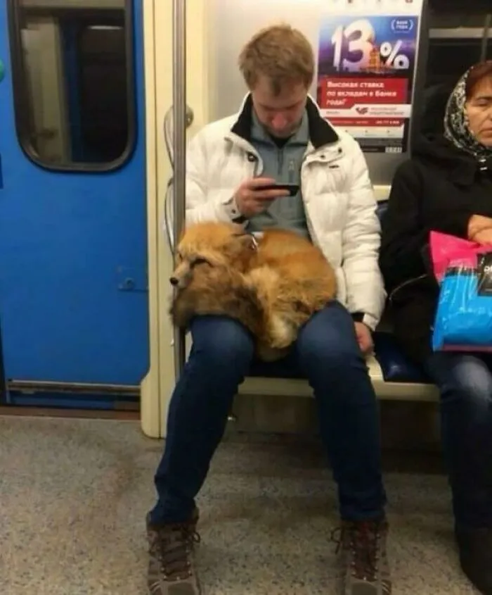 37 Cosas curiosas y divertidas vistas en el metro (Nuevas imágenes)