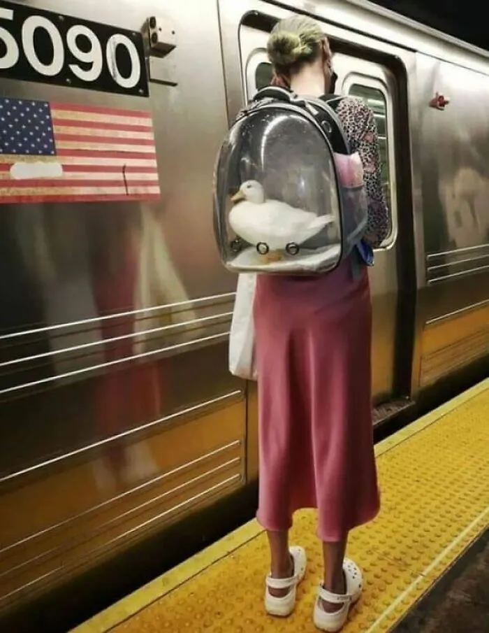37 Cosas curiosas y divertidas vistas en el metro (Nuevas imágenes)