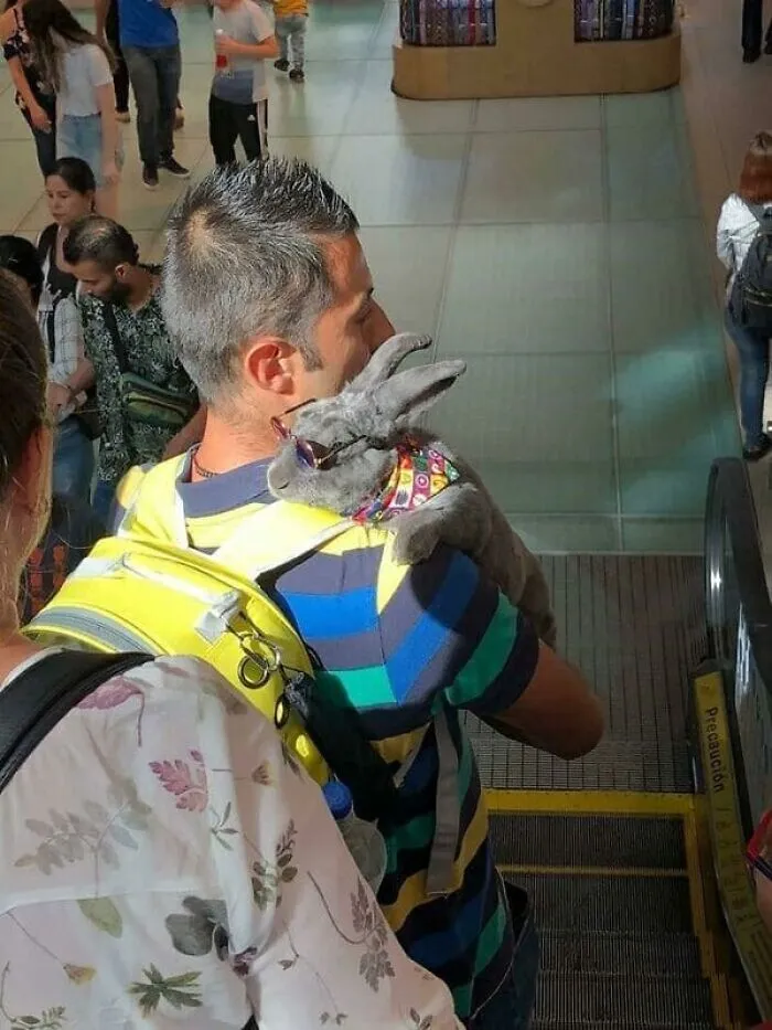 37 Cosas curiosas y divertidas vistas en el metro (Nuevas imágenes)