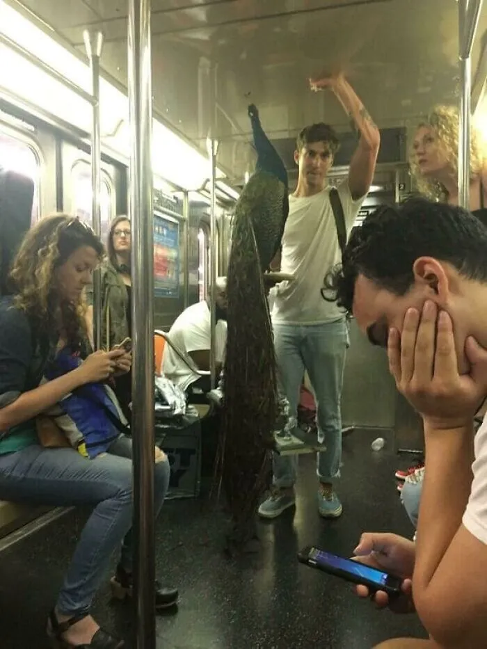37 Cosas curiosas y divertidas vistas en el metro (Nuevas imágenes)