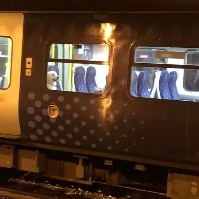 37 Cosas curiosas y divertidas vistas en el metro (Nuevas imágenes)