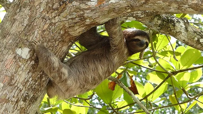 31 Facts That Took People By Surprise When They First Heard Them, As Shared Online