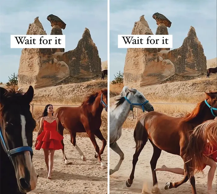 💃🏻 Got 🐎