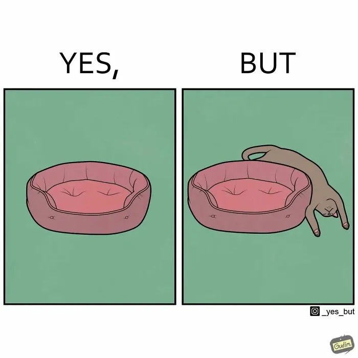“Yes, But”: 26 Thought-Provoking Illustrations Showcasing Society’s Most Common Contradictions (New Pics)