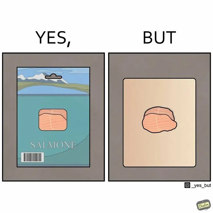 “Yes, But”: 26 Thought-Provoking Illustrations Showcasing Society’s Most Common Contradictions (New Pics)