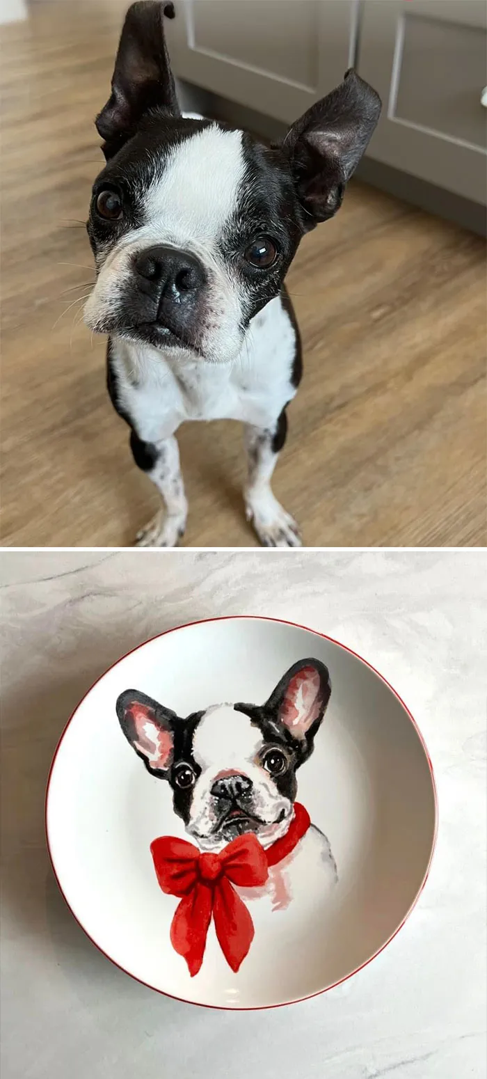 I Lost My Boston Terrier, Ollie, To Old Age This Summer And I’m Pretty Sure I Found Him At Goodwill Today As Christmas China