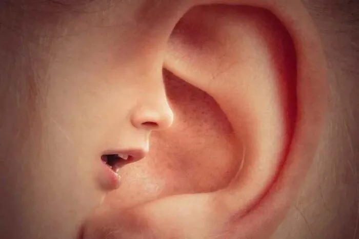 50 People Share “Today I Learned” Facts They Never Learned At School (New Facts)