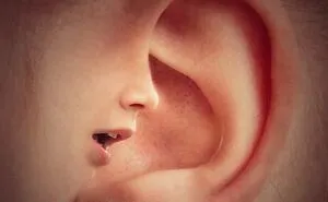 50 People Share “Today I Learned” Facts They Never Learned At School (New Facts)