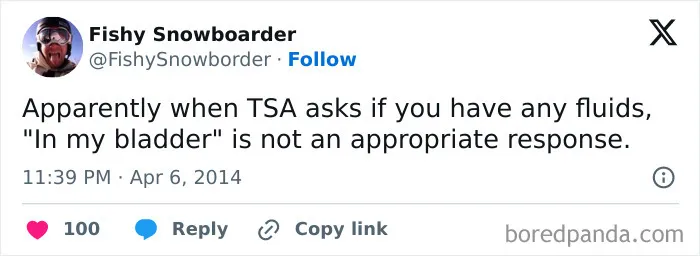 People Are Sharing Their Most Amusing Airport Security Tales, Here Are The 35 Best Ones