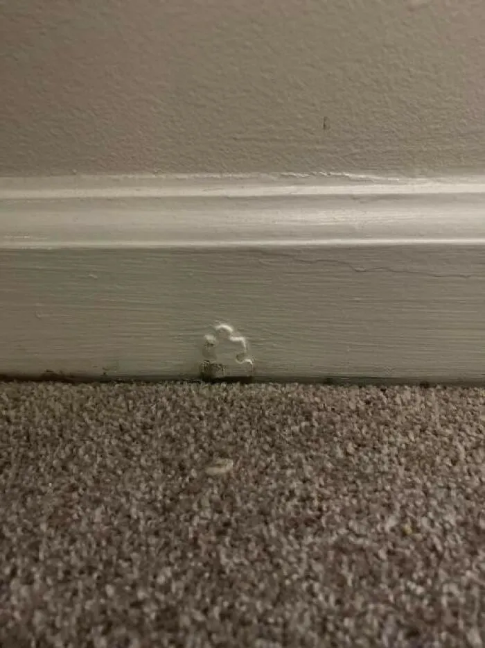 ‘You Had One Job’: 50 Hilarious Fails That People Couldn’t Help Sharing