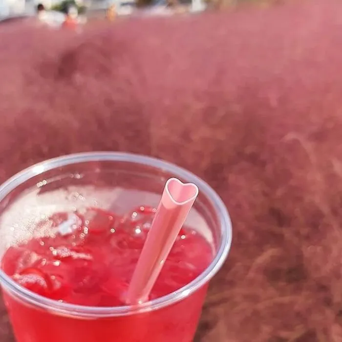 Make Each Drink A Tribute To Your Friendships With <span Style="Font:inherit;color:#d74b1f;"> Heart Shaped Pink Straws</Span> , Because Your Squad's Conversations Flow Better With Fun In Every Glass!