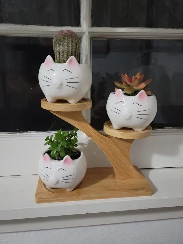 She Loves Plants. She Adores Cats. You Love Smart Gifting. Combine All Three This V-Day With Some Paw-Some<span Style="Font:inherit;color:#d74b1f;"> Cat Shaped Ceramic Pots </Span> 