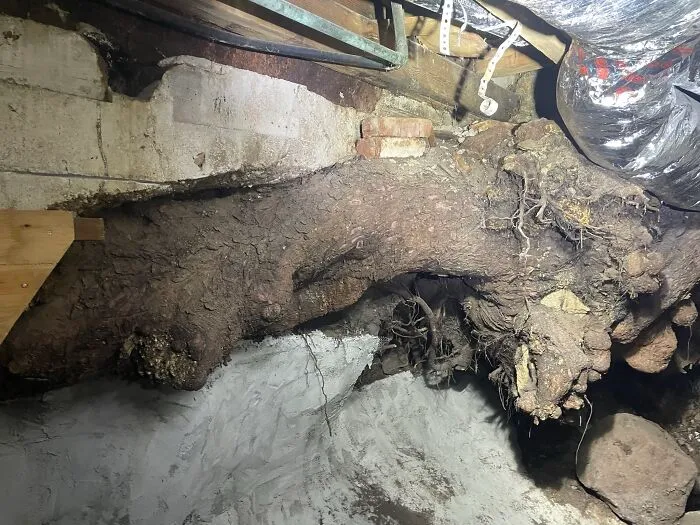 30 ‘Nightmares’ And ‘Miracles’ Spotted During Structural Inspections (New Pics)