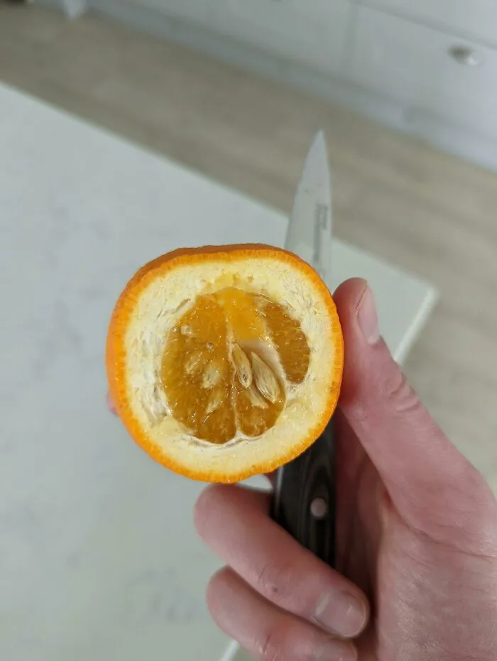 I Lost The Orange Lottery