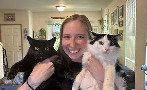 50 Aww-Inducing Pics Of Cats That Are Impossible Not To Enjoy