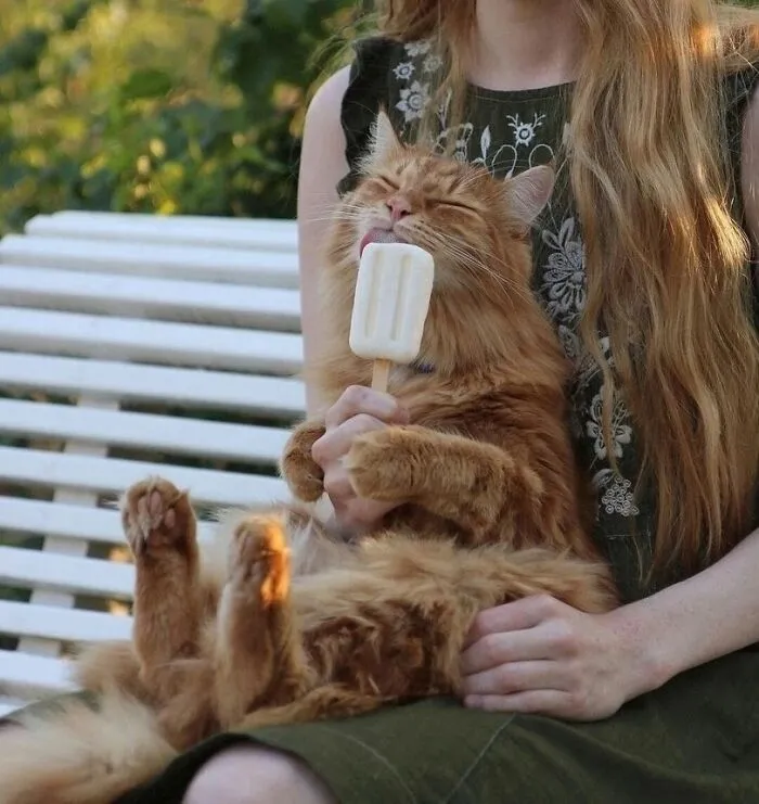 Mlem