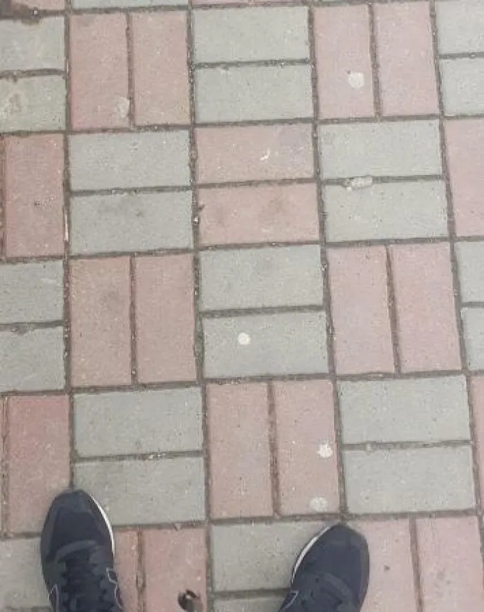30 Personas que «solo tenían 1 cosa que hacer» y aún así la pifiaron