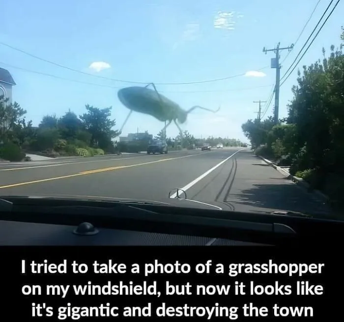 Not My Pic, Op Unknown