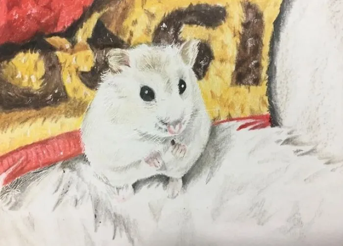 Ham