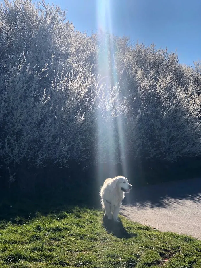 Right Spot At The Right Time