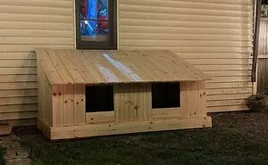 38 Times Dogs Deserved Only The Best Dog Houses And People Accepted The Challenge