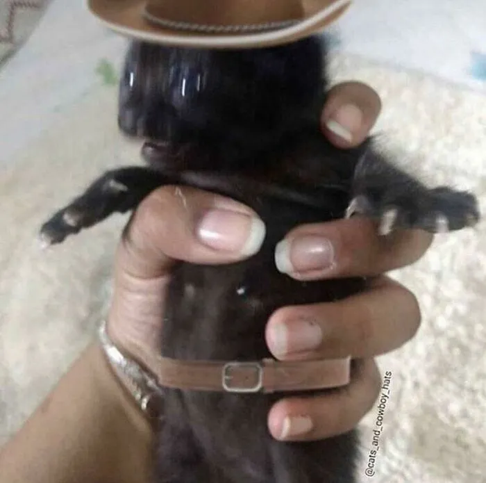 Cursed_cowboy