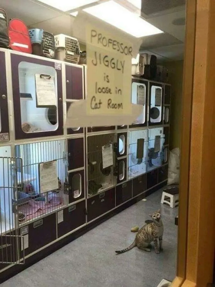 Cursed_jiggly