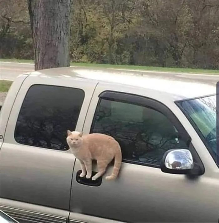 Cursed_balance