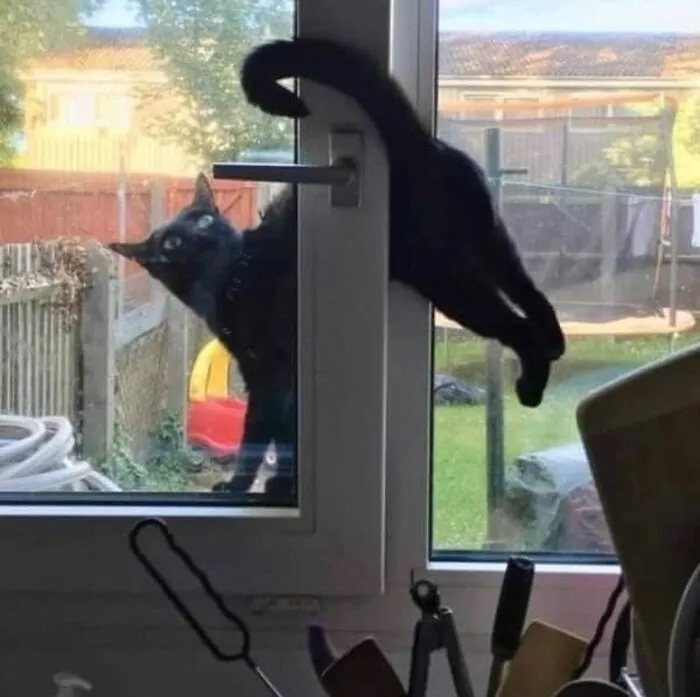Cursed_escape