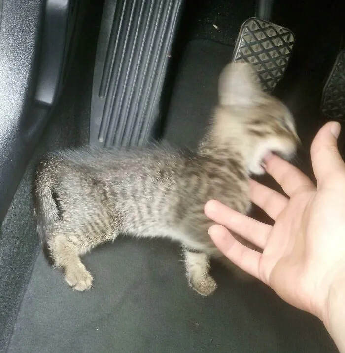 Cursed_attack