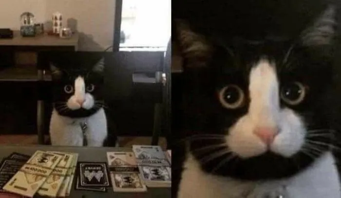 Cursed_face