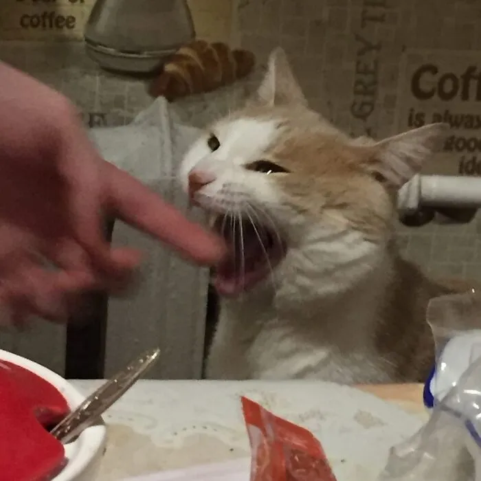 Cursed_sosage