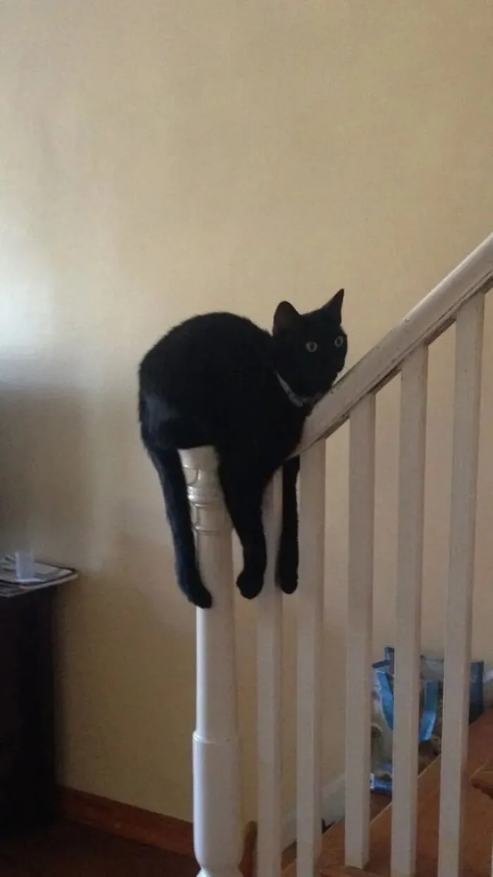Cursed_rest