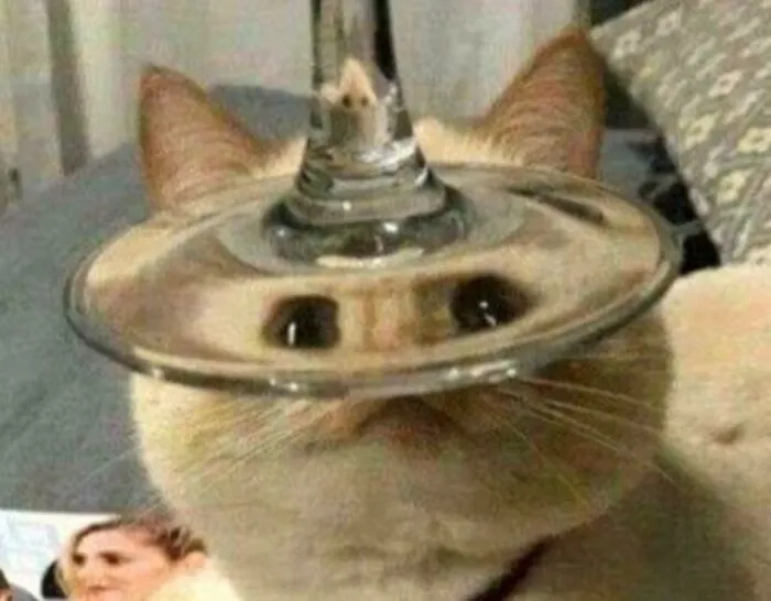Cursed_wine