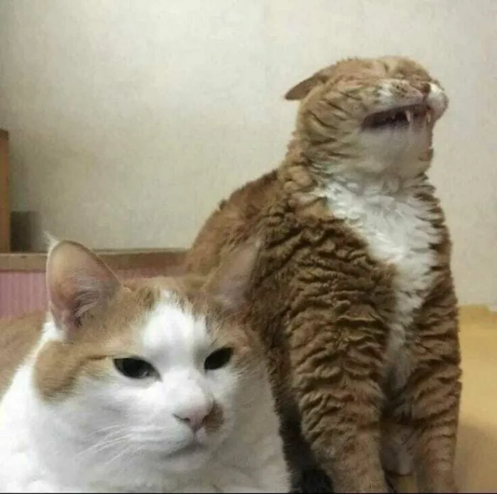 Cursed_sneeze