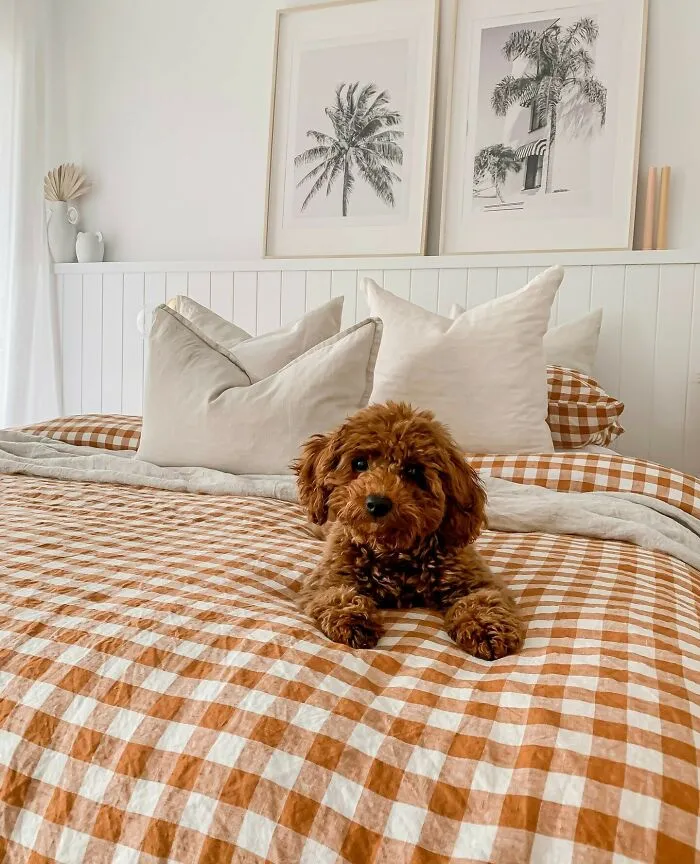 Cozy Up With a Pale Orange and Brown Gingham