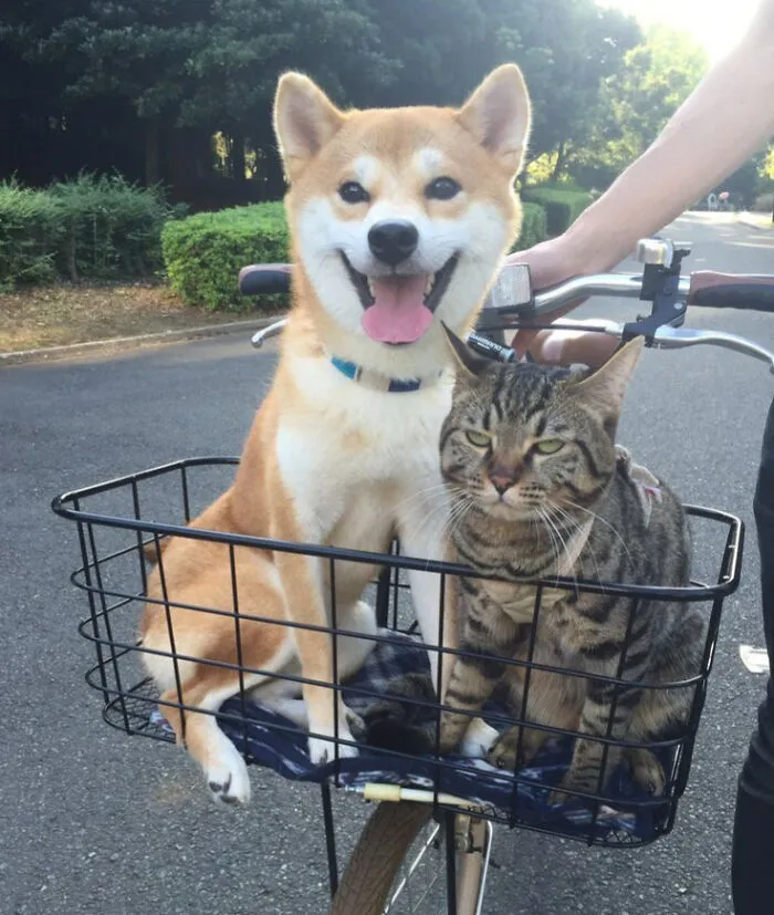 When Your Parents Make You Hang Out With The Annoying Kid