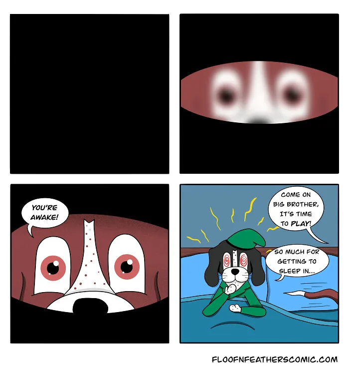 My “Floof n’ Feathers” Comics Are Inspired By The Everyday Antics Of My Real-Life Pets (12 Pics)