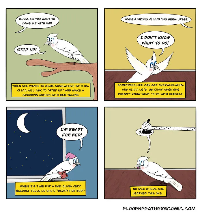 My “Floof n’ Feathers” Comics Are Inspired By The Everyday Antics Of My Real-Life Pets (12 Pics)