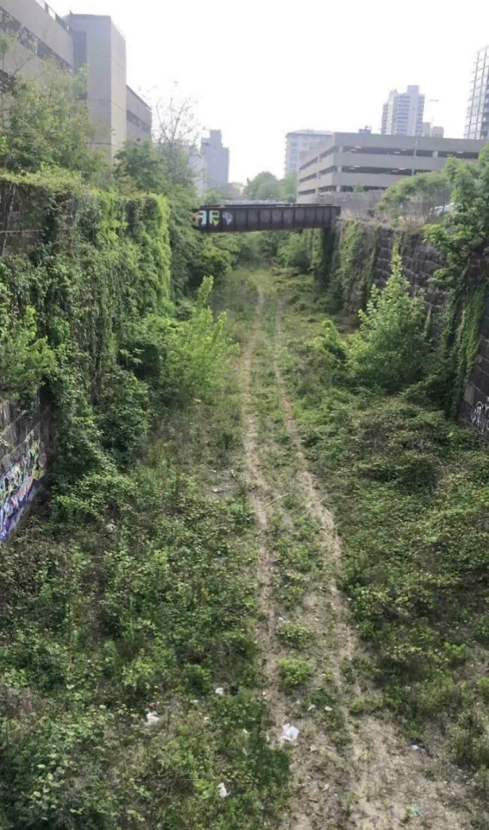 Overgrown Center City, Philadelphia