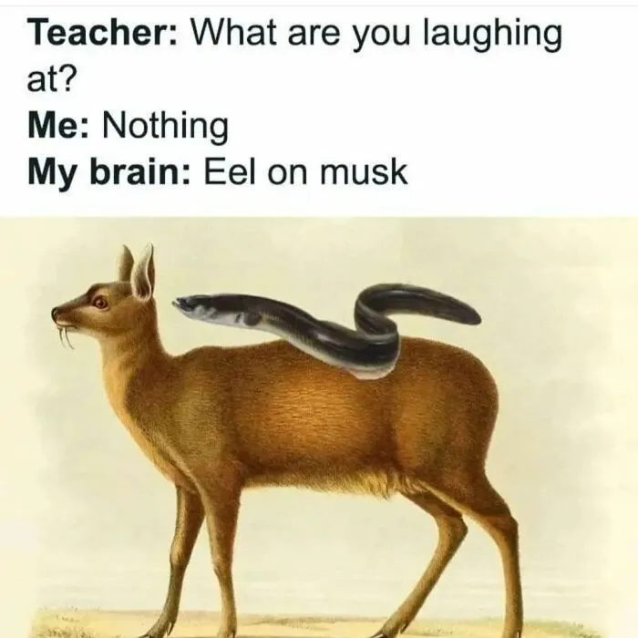 50 Hilariously Relatable ‘Brainy Memes’ To Remind You How You Got That Degree (New Pics)
