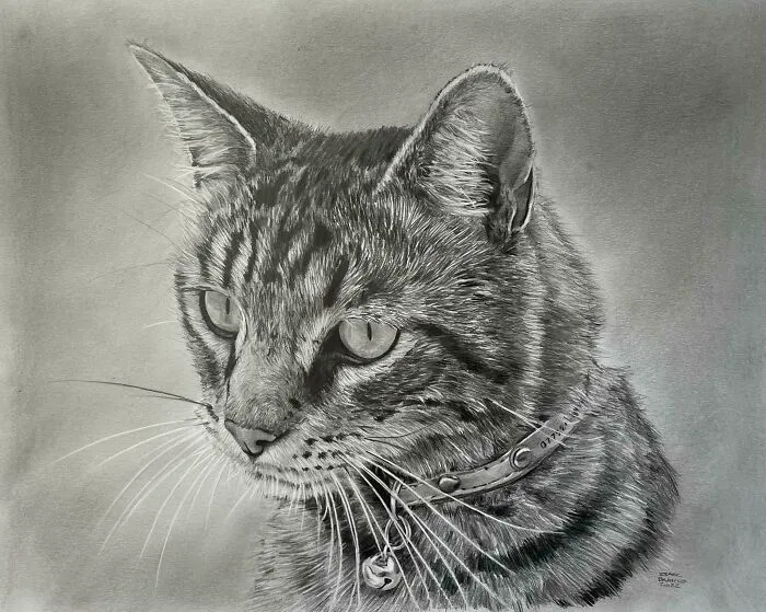 Decided To Surprise My Neighbours For Their Friendship With A Portrait Of Their Cat